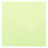 Serviette intissé kiwi 40x40cm - par 700