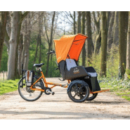 Vélo shop handicapé occasion