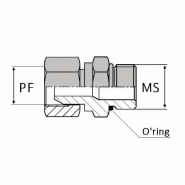 Adaptateur droit femelle tournant NPSM x mâle SAE - 1/2' , 17.81 , 9/16' , 14.28