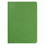 Clairefontaine Lot de 5 Carnet Age Bag A5, 96p./48 feuilles 90 g/m² piquées, couv. Coloris vert, uni - 3329687331038