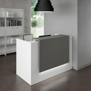 Borne d'accueil compacte Z2 - Officity - 146, Gris ombre, Blanc_0