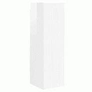 Helloshop26 - Meuble TV mural moderne épuré 30 x 31 x 100 cm rangement mural en bois d'ingénierie blanc brillant 02_0054993 - blanc Bois massif 300