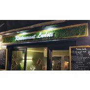 Logo ou lettres sur fond végétal synthétique