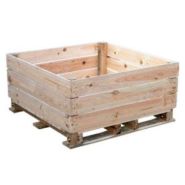Palox kiwis - Type F Palox kiwis - Type F