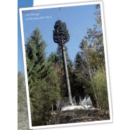 Pylônes arbres accès intérieur SEKOIA - standard 15 à 30m, tronc marron/noir, échelle Soll, plateforme extérieure Pylônes arbres accès intérieur SEKOIA - standard 15 à 30m, tronc marron/noir, échelle Soll, plateforme extérieure