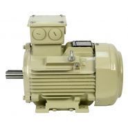 Moteur atex - motovario - entre 0,75 kw et 315 kw