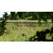 Clôture type ranch - clôtures en bois - les piquets couardais - avec des piquets d'une hauteur de 2 m