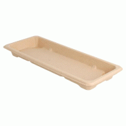 Boîte sushi bagasse naturelle 22x9x2cm - par 800