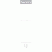 Exacompta Paquet de 10 étiquettes autocollantes pour dos classeur à levier 50mm - 3130630053583