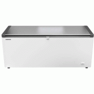 Congélateur coffre professionnel à couvercle battant Inox - 542 L | Liebherr - EFL 6056