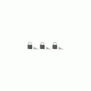 Lot de 3 cadenas BASIC gris à clé, base 40 mm, anse acier cémenté, s'entrouvrant, 3 clés/cad. - SP - gris 3150269882408 Lot de 3 cadenas BASIC gris à clé, base 40 mm, anse acier cémenté, s'entrouvrant, 3 clés/cad. - SP - gris 3150269882408
