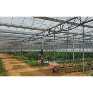 Serres photovoltaïques