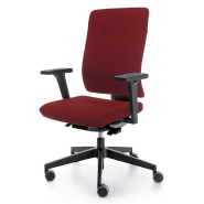 Fauteuil  de bureau  pivotant haut de gamme - EWS.80