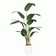 Plante artificielle STRELITZIA Vert hjh OFFICE - vert plastique 872001