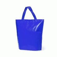 Sac Isotherme Bleu jusqu'à 7 Kg - 8435408325745