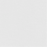 Serviette Celi-ouate - 20x20 - Blanc - x2000 - CGMP - blanc 3504087880007