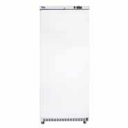 Armoire réfrigérée négative 600L 1 Porte pleine 230V SOFRACOLD Sofraca