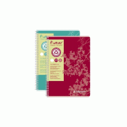 Calligraphe Lot de 5 Cahier Forever A4, 180p./90 feuilles 70 g/m² reliure intégrale, rouge, ligné 8mm - 3210330174181