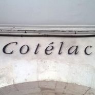 Enseigne lettres découpées Dibond option rétroéclairage lumineux - Argent brossé, Lettres_0