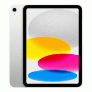 IPad 11p A16 512 Go cellular - Argent