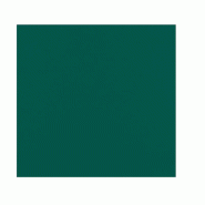 ECOLOMIQUE - 40 Pcs - Serviette micro point verte 2 plis - 38 x 38 cm - vert papier ECO210SMP4040V