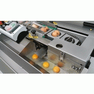 Machine casseuse d'oeufs