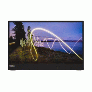 Ecran ThinkVision M15