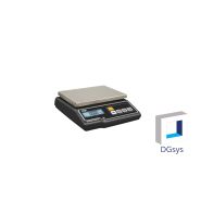 Balance de contrôle DIBAL sans ticket - G-305/6
