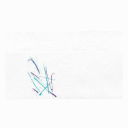 Serviette ouate Ecolabel blanche motif Volare 1  pli  33x33 cm - par 4800