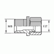 Adaptateur droit mâle BSP pour bague BS x femelle JIS - 3/4' , 26.44 , 3/4' , 24.12