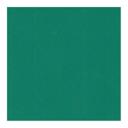 BÂCHE PVC BRILLANTE POUR HIVERNAGE LARGEUR 150 CM MZ-VERT