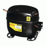 Compresseur R290-SC18CNX.2 compatible avec appareils POLAR GD880 et U633