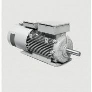 Moteurs asynchrone fonte electro adda ? Série cs ? Ie1