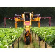 Tracteur enjambeur - damcon - pour fraises