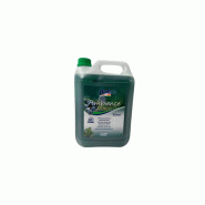 Detergent surodorant longue duree toutes surfaces ph:10 ± 0,5 parfum ambience winter bidon de 5l