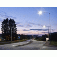 Luminaire d'éclairage public Evolume 1 740 CLO - LED 96W - 10300 lm - Aluminium - Hauteur conseillée 8m_1