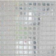 Bache d'echafaudage transparente 220 gr/m²² rouleau de 2m70 x 20m - 02032201