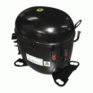 Compresseur R290-NT2210U compatible avec appareil POLAR DN494 Compresseur R290-NT2210U compatible avec appareil POLAR DN494