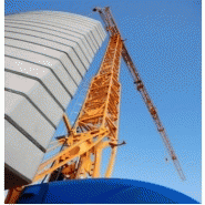 Grue gma potain igo t 70a - 4t Grue gma potain igo t 70a - 4t