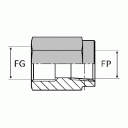 Adaptateur droit femelle gaz cylindrique x mâle NPT - 1" , 30.29 , 1" , 29.06