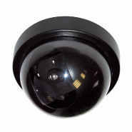 Camera dome factice