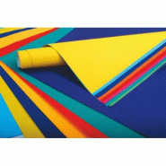 Maildor Paquet filmé de 50 feuilles de papier Affiche, 90 g/m², 0,60m x 0,80m, coloris assortis - 3329680938005