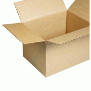 Carton simple 290x140x115mm (0.0046m3) 20un - 2622