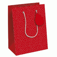Sac papier Coeurs poignées cordelettes 21,5x10,2x25,3 cm - par 6