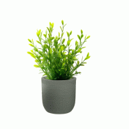 Vase Cylindrique En Résine Raffaello Verde 35X34Cm Pour Plantes D'Intérieur Et D'Extérieur - vert 8055829983166