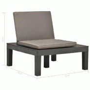VidaXL Chaise De Salon De Jardin Avec Coussin Plastique Anthracite - gris 48826XL