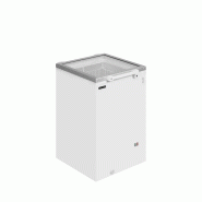 Congélateur de crème glacée 115 litres couvercle vitré plat à charn... - PST160
