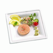 ECOLOMIQUE - 50 Pcs - Assiette carrée blanche en pulpe 20,5 x 20,5 cm - ECO210APU2121 - blanc Bagasse ECO210APU2121