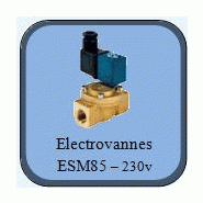 Electrovanne esm85 - 3/8
