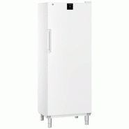 Armoire réfrigérée positive blanche - GN2/1 - 479 L | Liebherr - FRFvg 6501 Performance